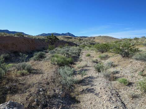 Bauer Mine