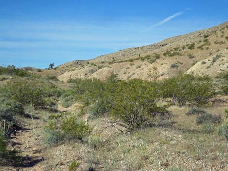 Bauer Mine