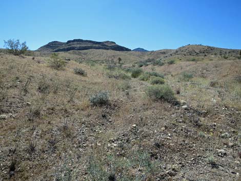 Bauer Mine