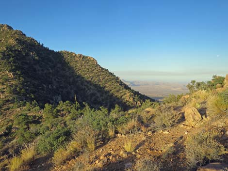 Billy Goat Peak