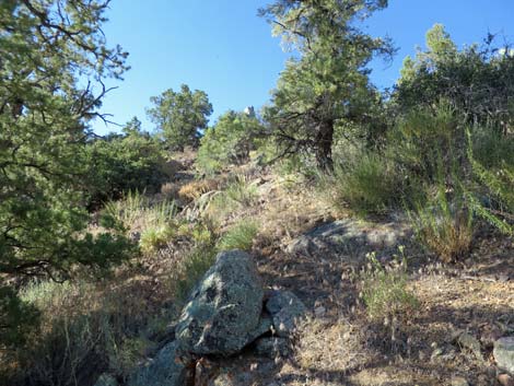 Billy Goat Peak