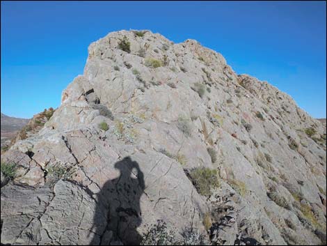 Black Butte Peak