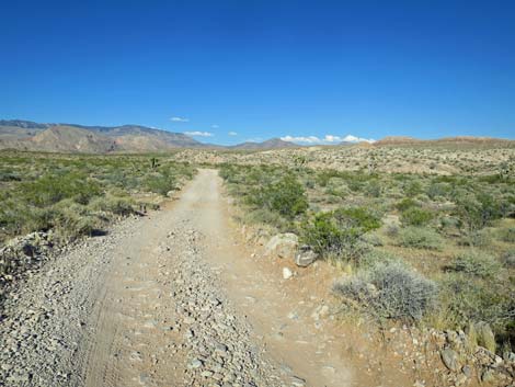 Black Butte Dam Loop