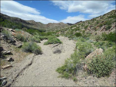 Black Ridge Mine