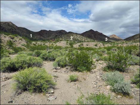 Black Ridge Mine