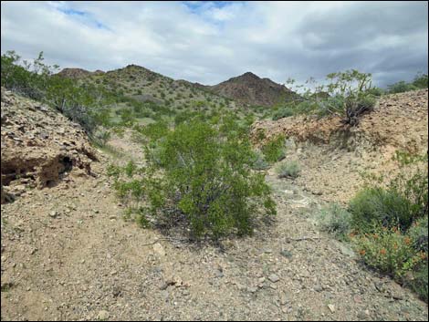 Black Ridge Mine