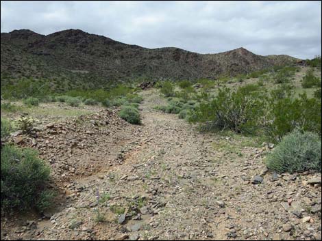 Black Ridge Mine