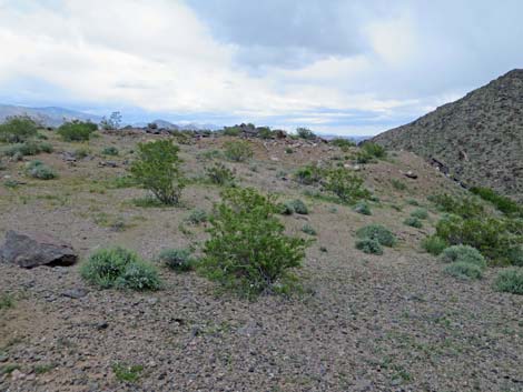 Black Ridge Mine