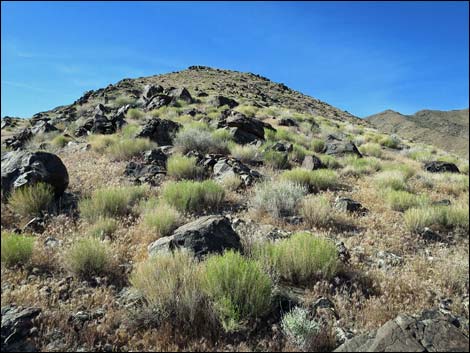 Bonelli Peak