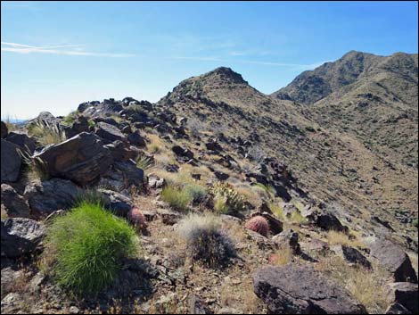 Bonelli Peak