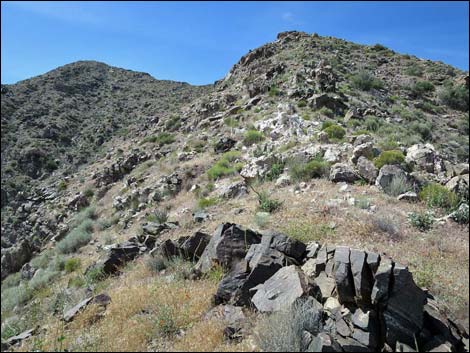 Bonelli Peak