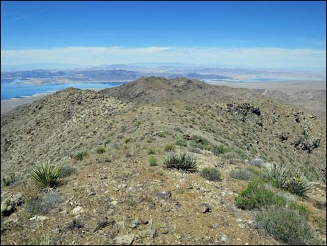 Bonelli Peak