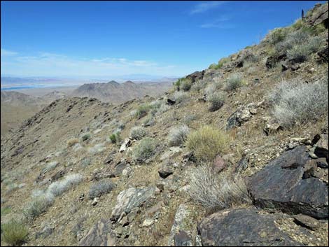 Bonelli Peak