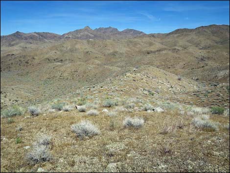 Bonelli Peak