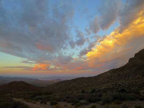 Cabin Spring Canyon Campsite