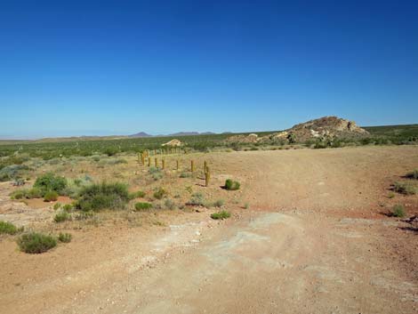 First Rock Campsite