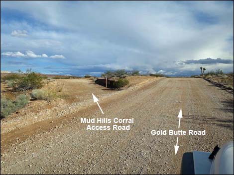 Mud Hills Corral Campsite