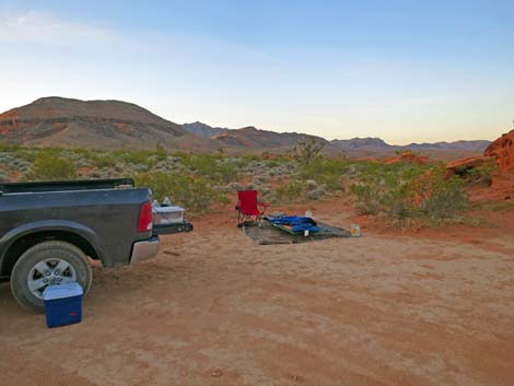 Mud Wash Dunes Camp