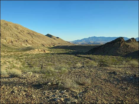 Red Bluff Spring Road Saddle Campsite