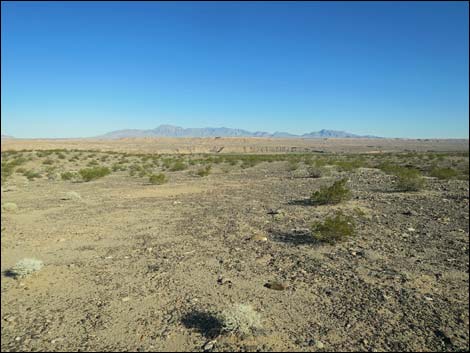 Virgin River Valley Overlook Campsite