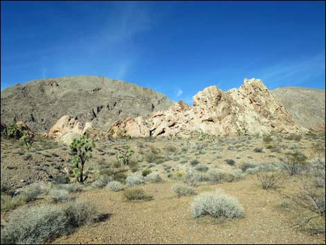 Whitney Pocket Campsites