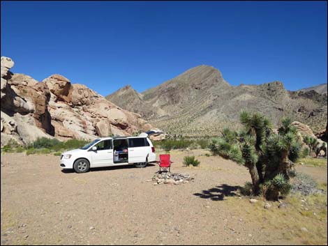 Whitney Pocket Campsites