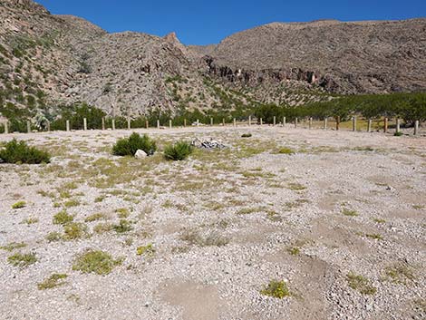 Whitney Pass Road Campsites