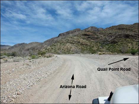 Whitney Pass Road Campsites