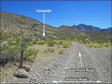 Whitney Pass Road Campsites