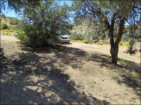 Whitney Pass Road Campsites