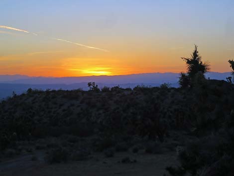 Gold Butte Campsites