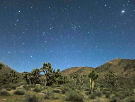 Gold Butte Campsites