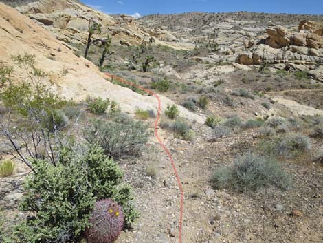 Doodlebug Arch