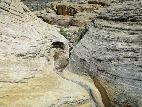 Doodlebug Arch