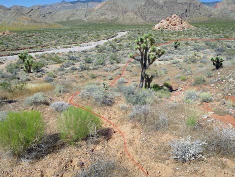 Doodlebug Arch