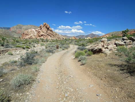 Doodlebug Arch