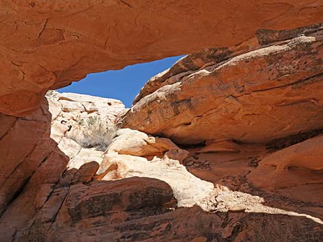 Doodlebug Arch