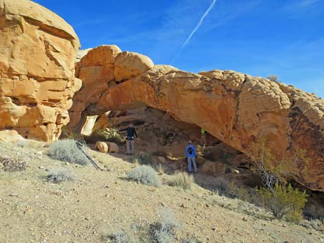 Doodlebug Arch