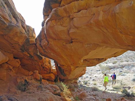 Doodlebug Arch