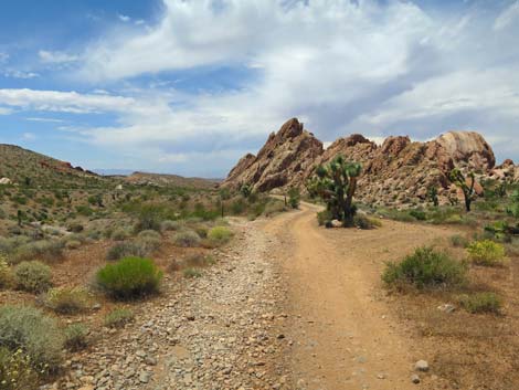 Doodlebug Canyon