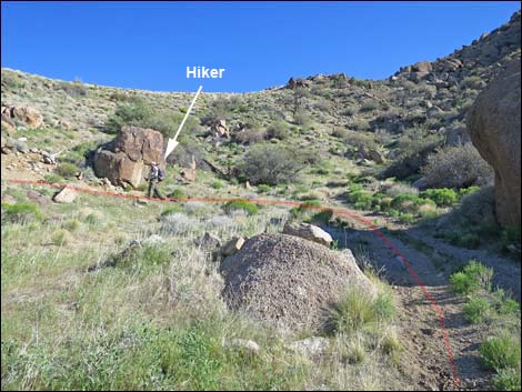 Gold Butte Peak