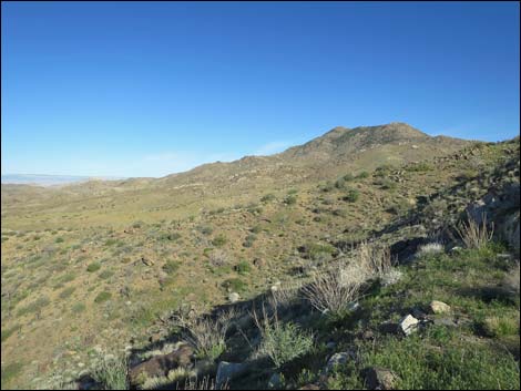 Gold Butte Peak