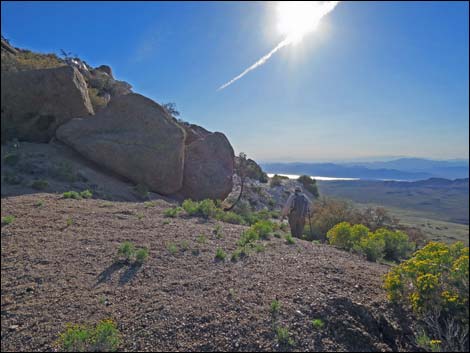 Gold Butte Peak