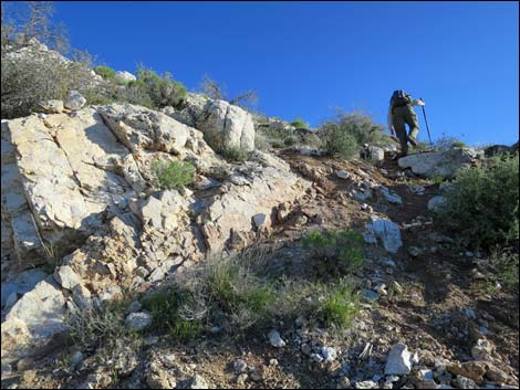 Gold Butte Peak