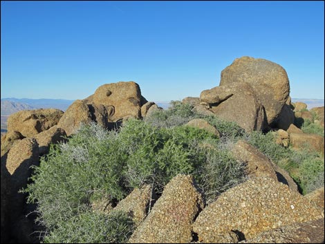 gold butte peak