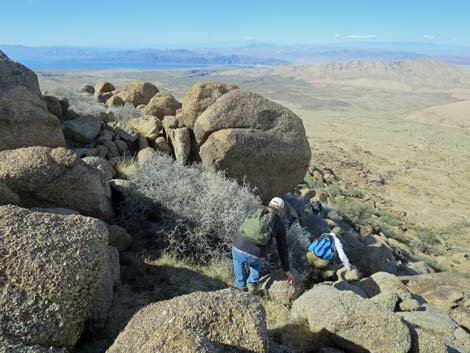 Gold Butte Peak