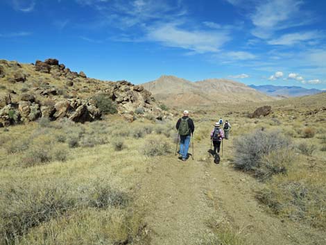 Gold Butte Peak