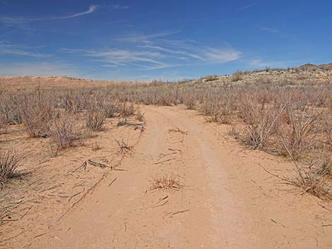 Gentry Ranch