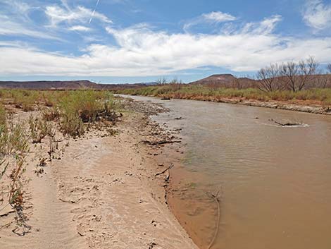 Gentry Ranch