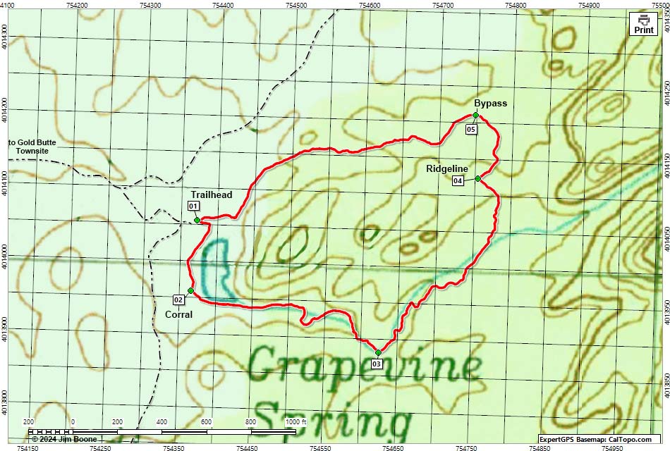 Grapevine Loop